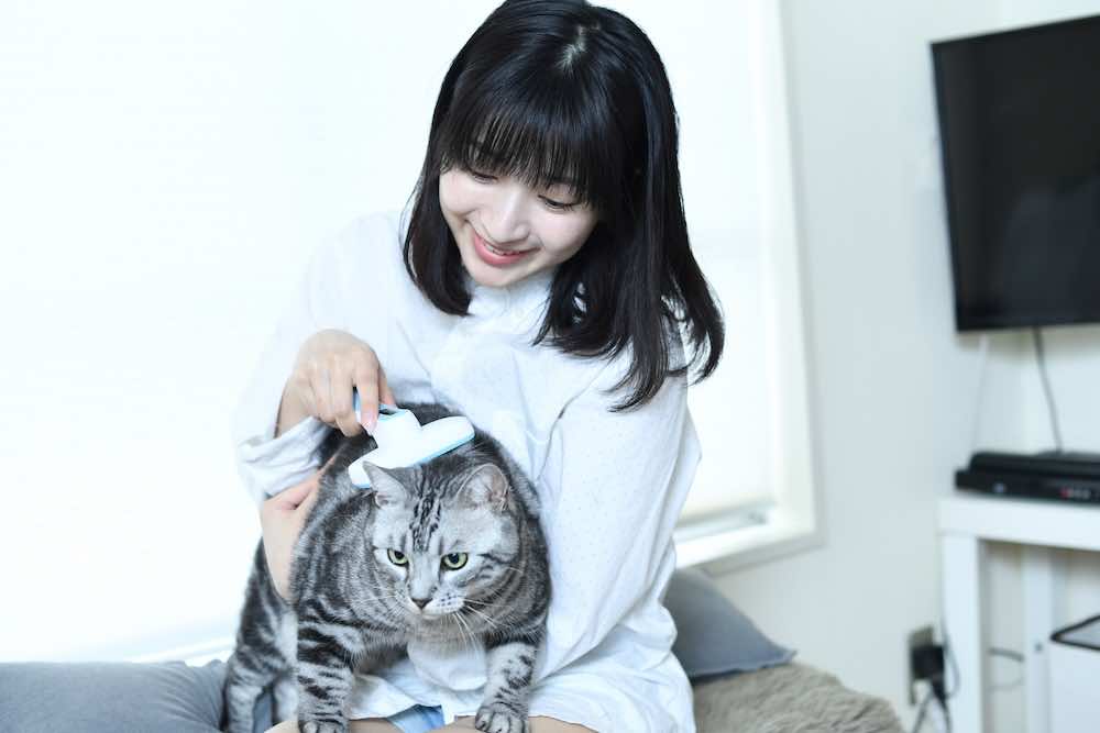 猫がブラッシングを嫌がるのはなぜ?対策や頻度、正しいやり方を解説