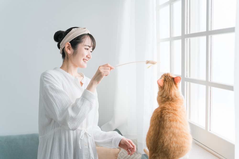 人懐っこい猫の種類とは?特徴や育て方・懐いているか見分ける方法も解説!
