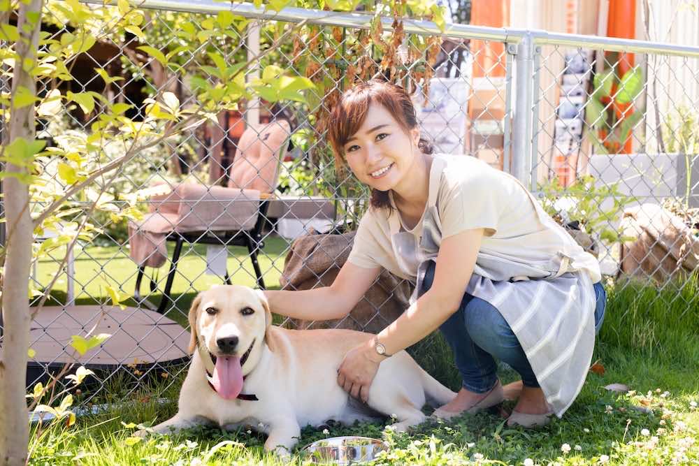 ドッグトレーナーの給料は安い?平均年収や収入アップの方法を解説