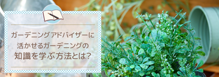 ガーデニングアドバイザーに活かせるガーデニングの知識を学ぶ方法とは?