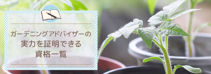 ガーデニングアドバイザーの実力を証明できる資格一覧
