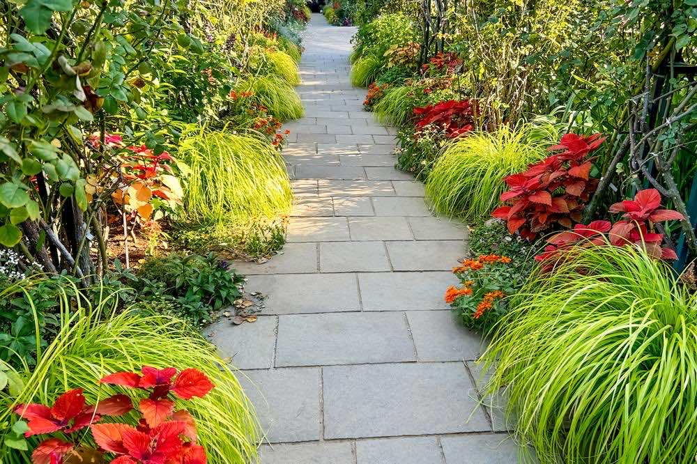 魅力的な庭を目指すガーデニングデザインのポイントとは？基本やレイアウトのコツを解説