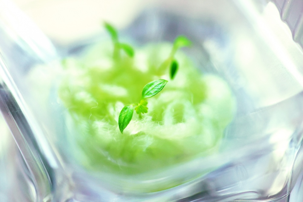 水耕栽培におけるEC値やpHの重要性とは?基本知識や調整方法を解説