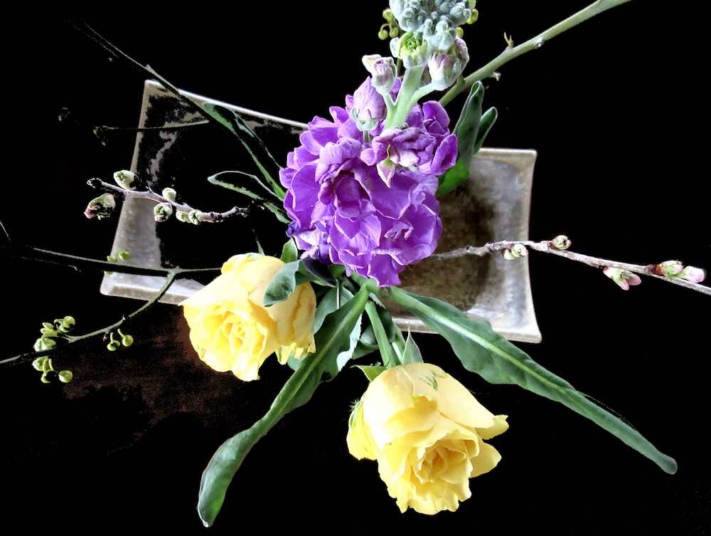 華道と生け花の違いとは?歴史や表現方法を解説