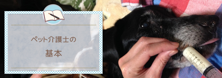 ペット介護士の基本