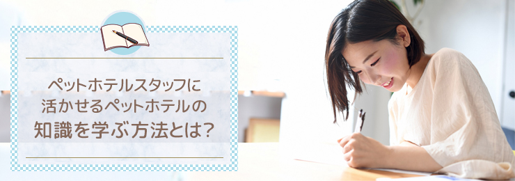 ペットホテルスタッフに活かせるペットホテルの知識を学ぶ方法とは？