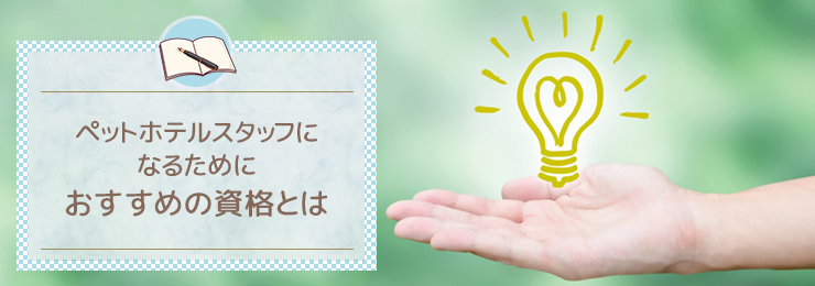 ペットホテルスタッフになるためにおすすめの資格とは